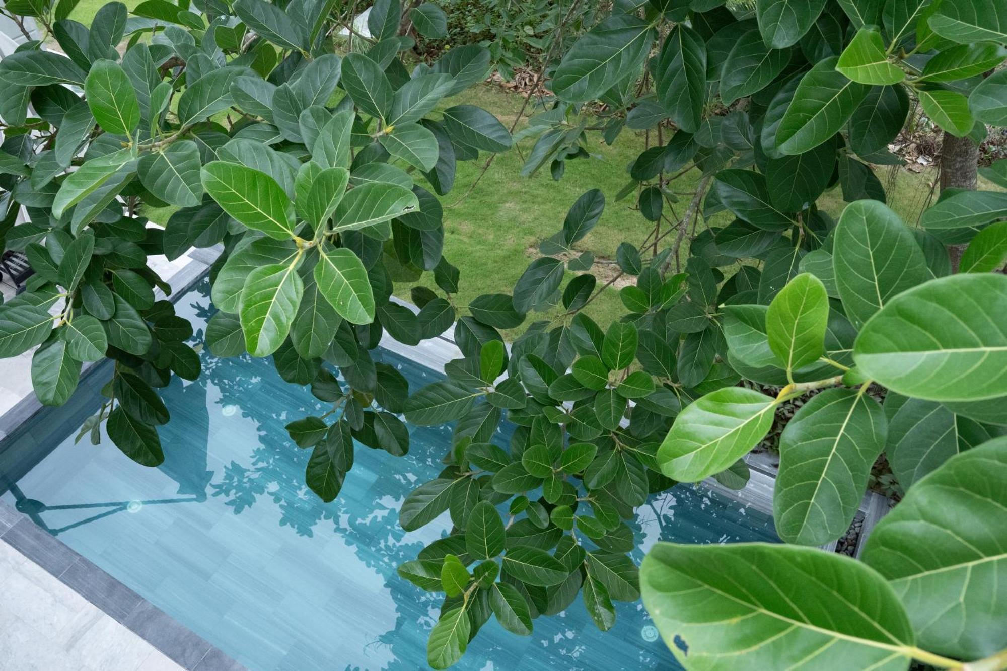 "Brg Golf Club" - Danang Private Pool Villa 3 Bedrooms #1 Ngoại thất bức ảnh